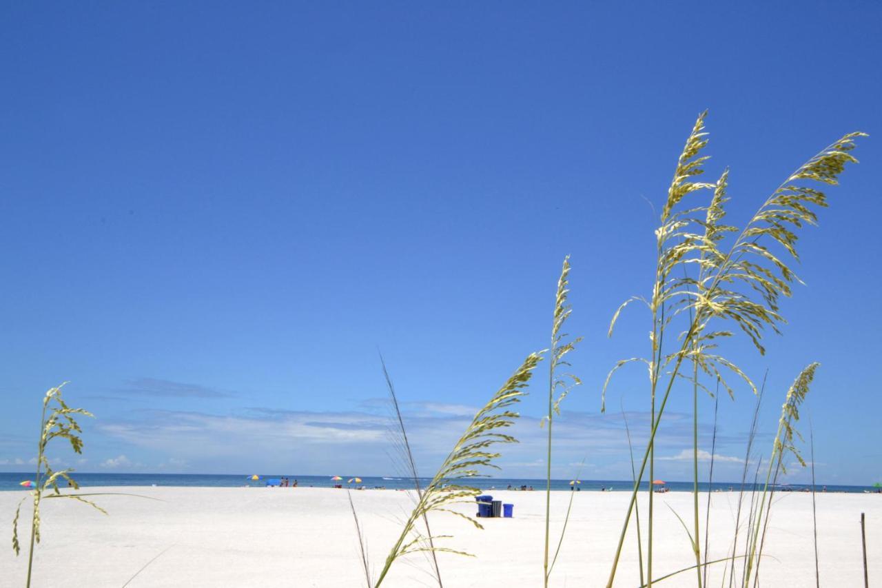 Waves 18 Daire St. Pete Beach Dış mekan fotoğraf
